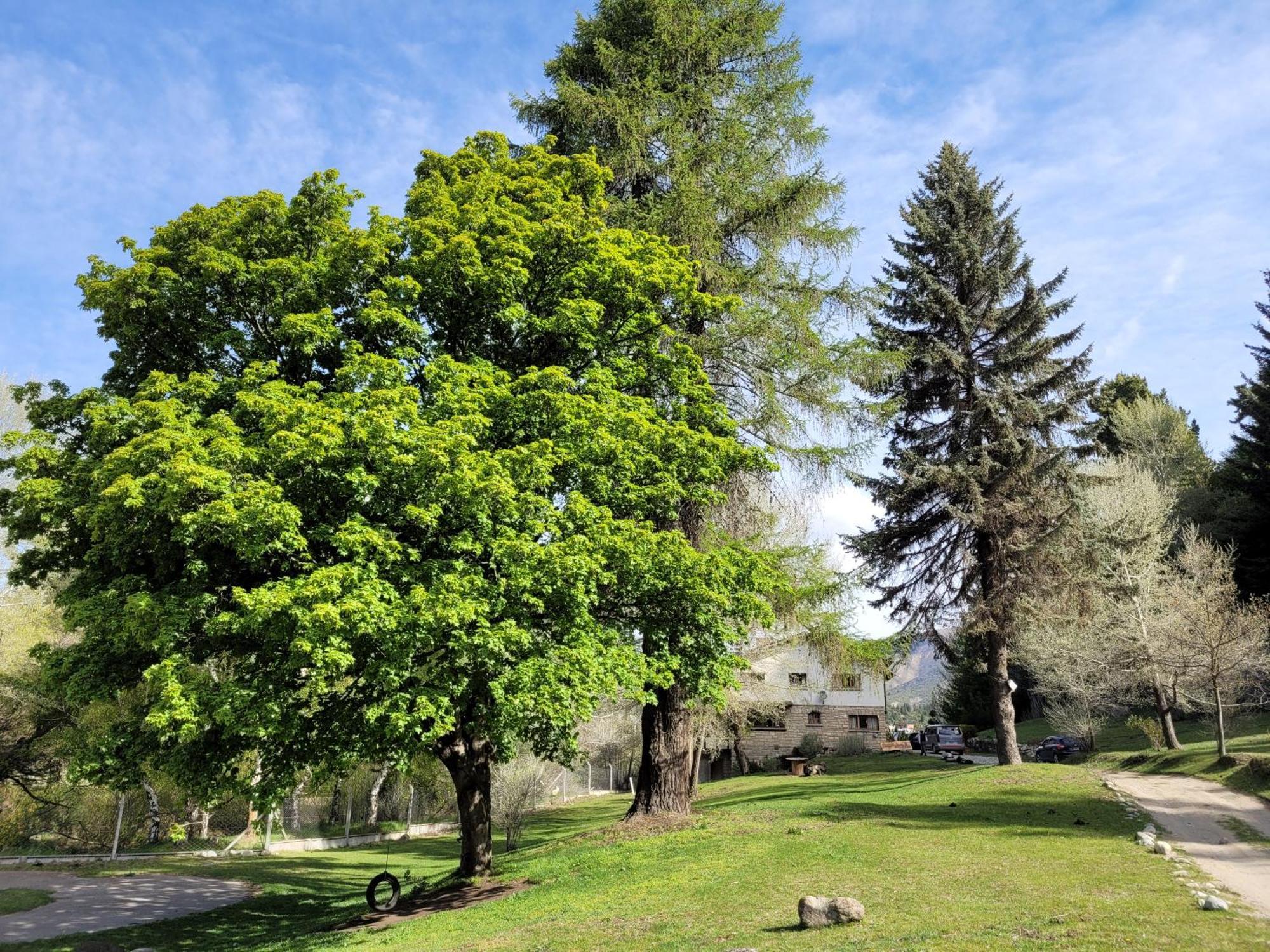Del ñireco Inn