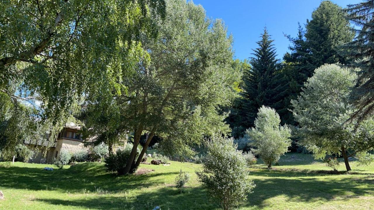 Del ñireco