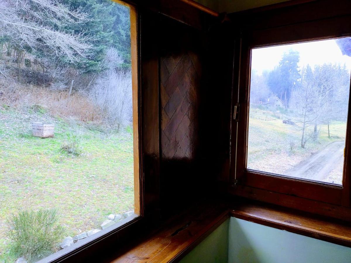 Del ñireco * San Carlos de Bariloche