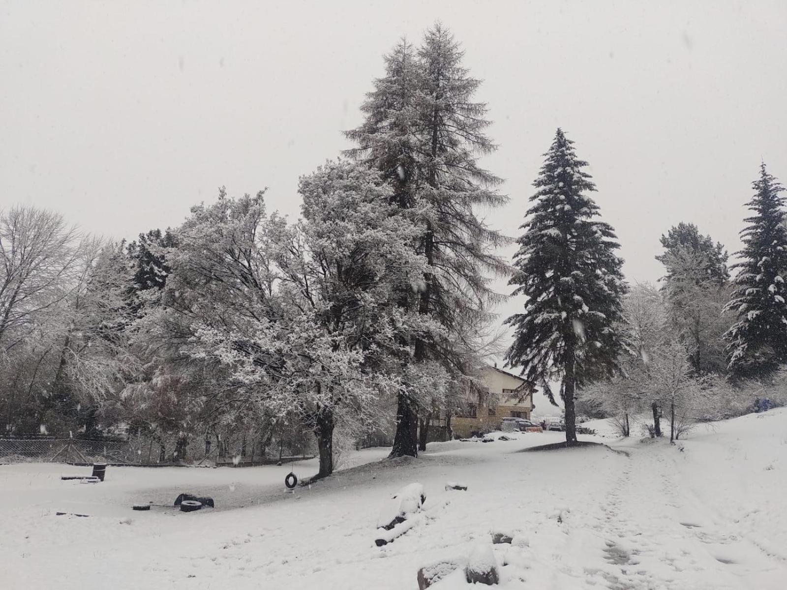 Inn Del ñireco San Carlos de Bariloche