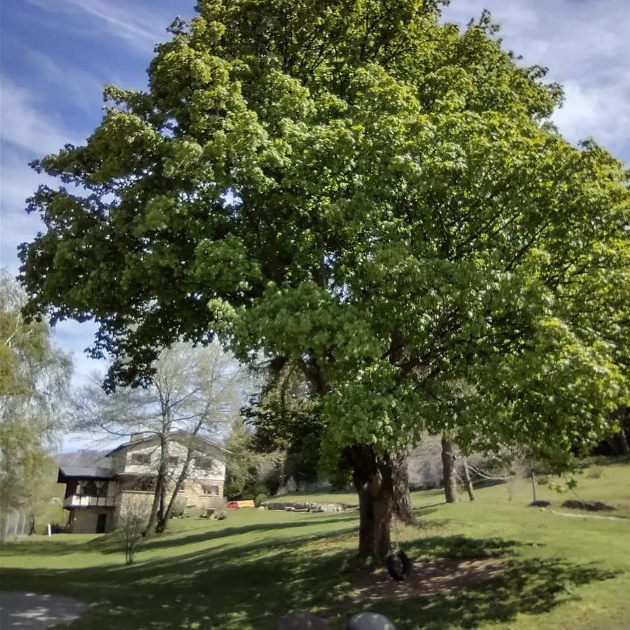 Del ñireco Inn San Carlos de Bariloche
