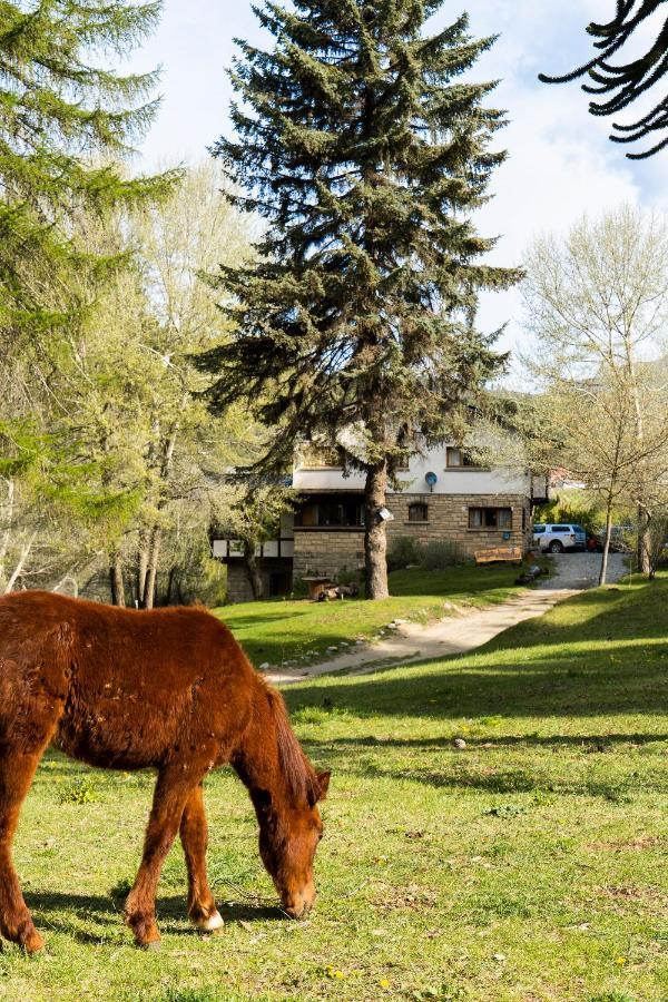 Del ñireco * San Carlos de Bariloche