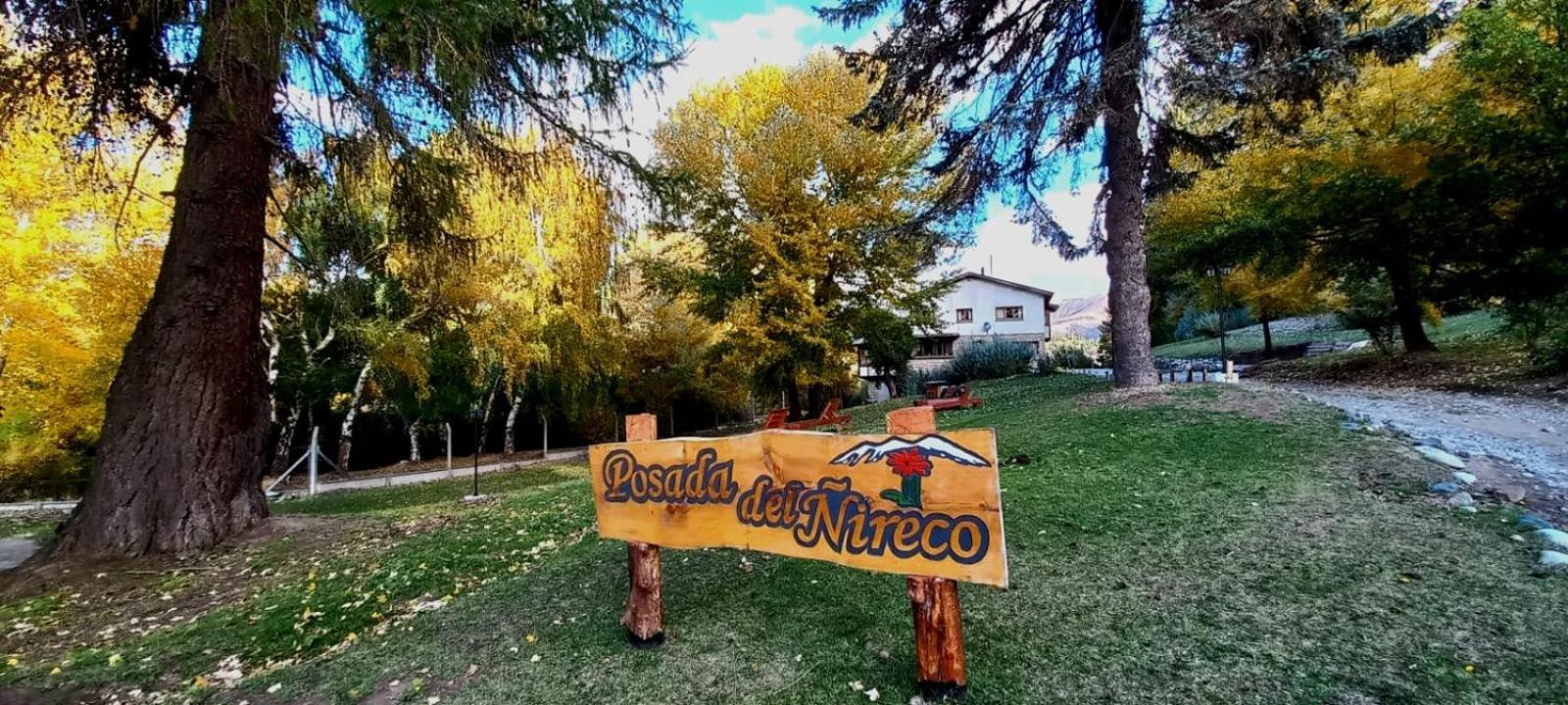 Del ñireco